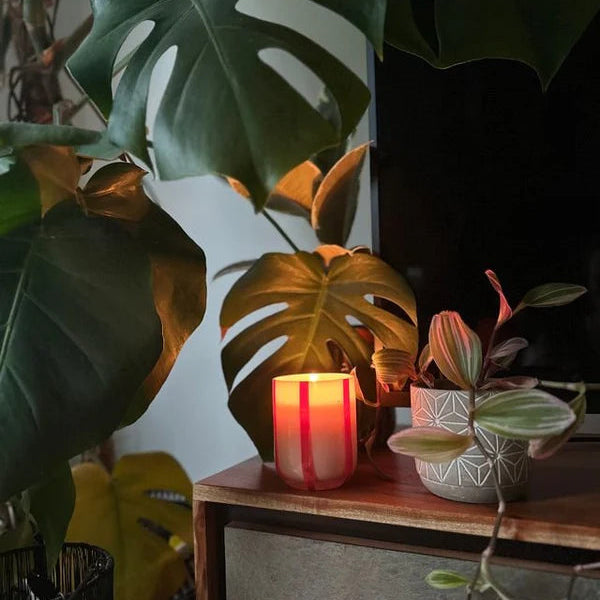 Candle on a table with plants in the background