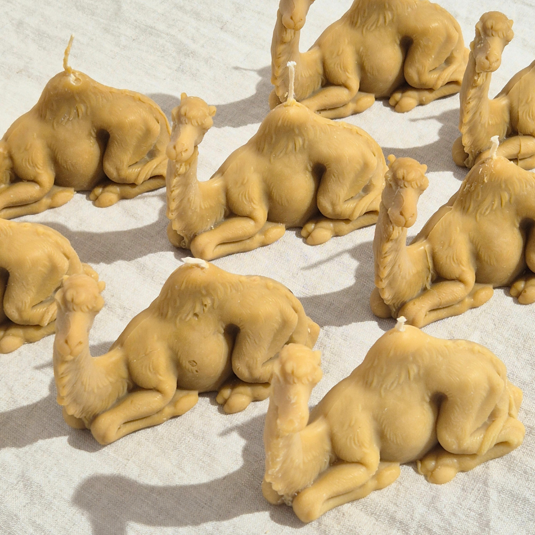 Passover Camel Candle | Seder Decorations, table