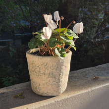 Grøn Concrete Plant Pot | Small