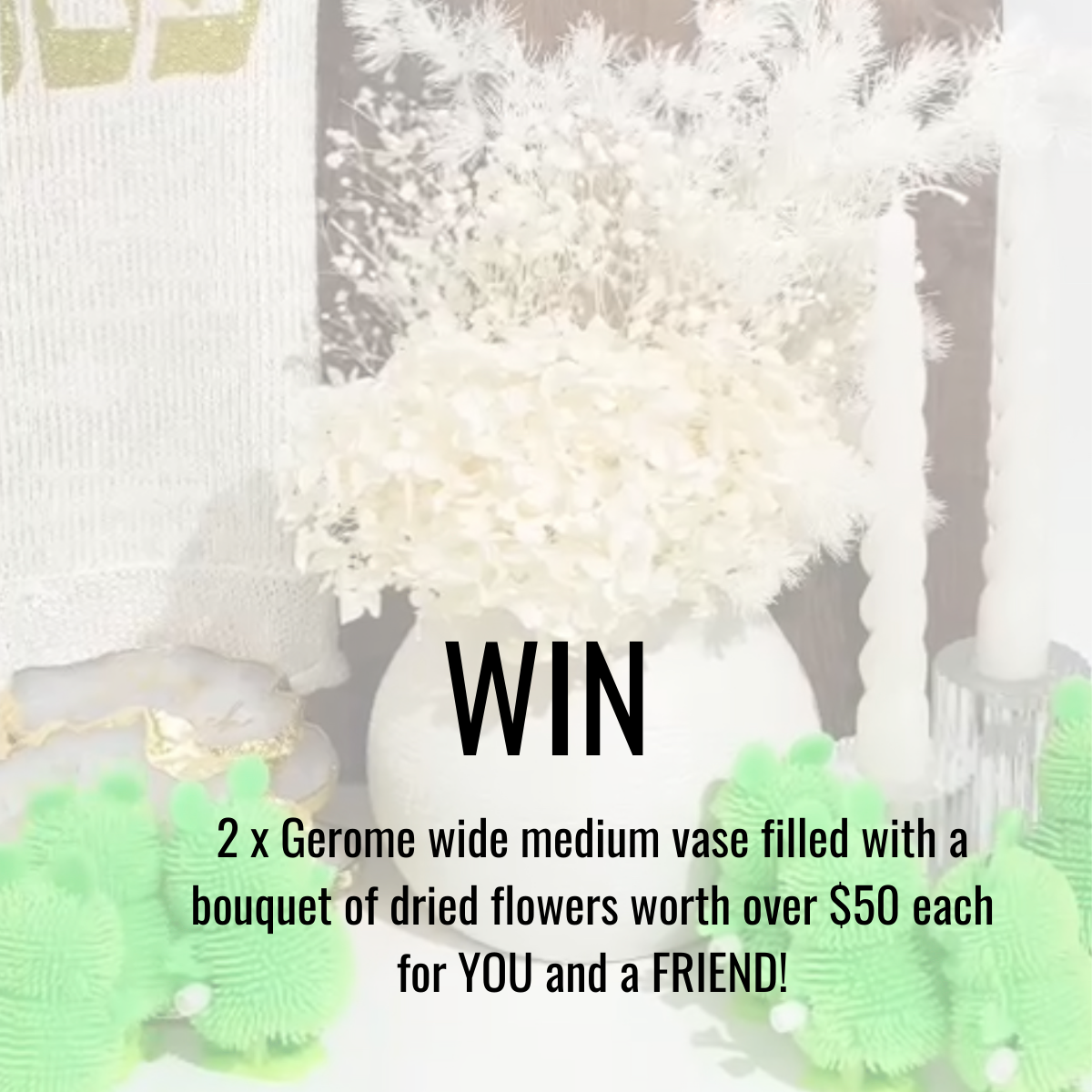 🐸  PASSOVER GIVEAWAY!! 🐸