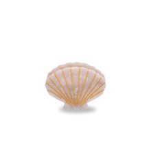 The Clam Hair Clip