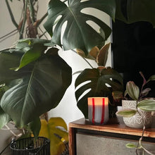 Blue Stripe Atina Candle | Tomato & Mint Leaf