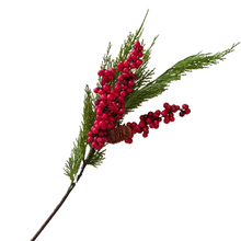 Berry and Pine Stem