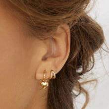 Treasure Gold Earrings