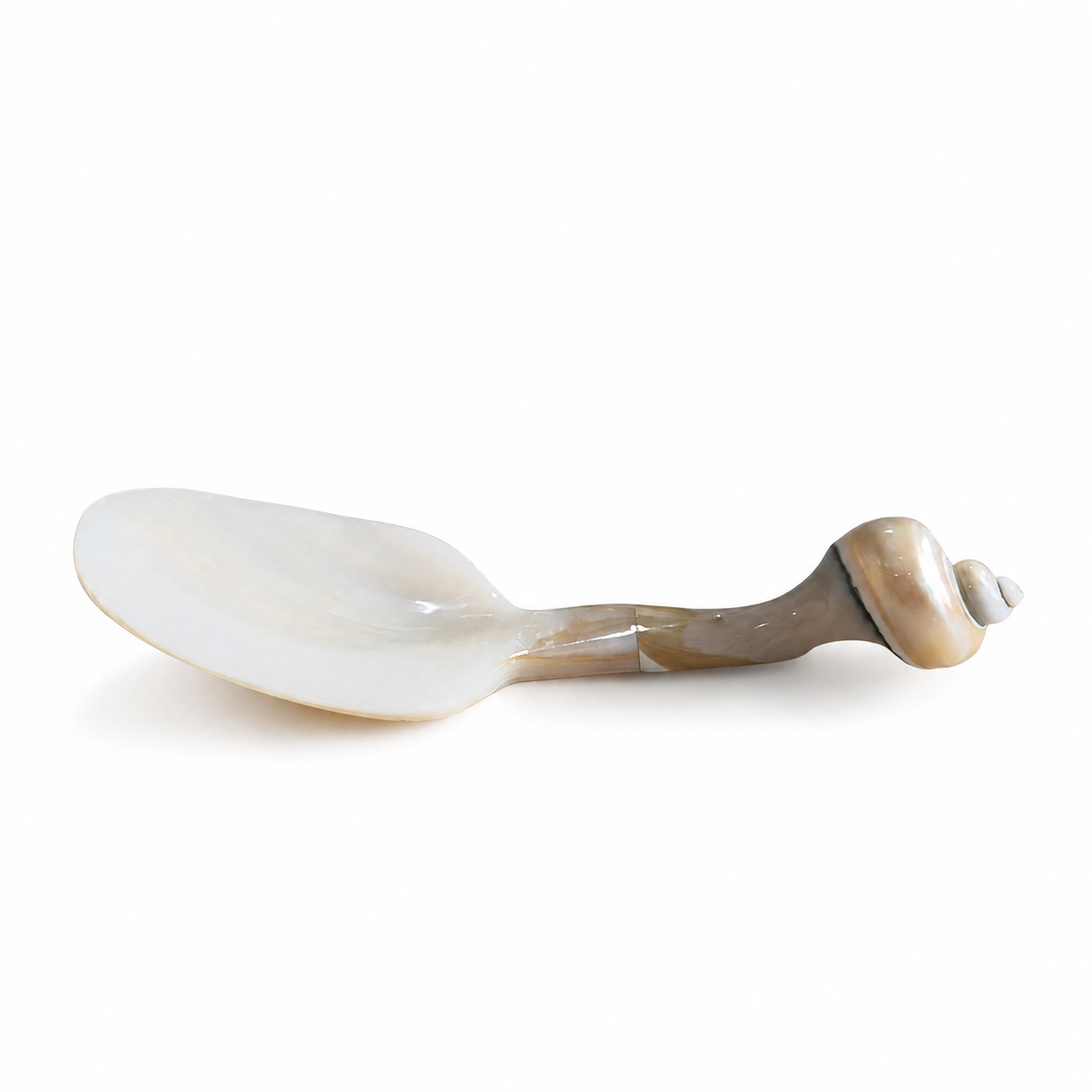 Decorative spoon with shell handle on a white background