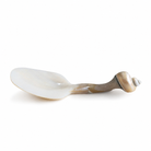 Decorative spoon with shell handle on a white background