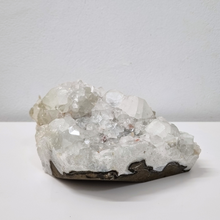 Apophyllite Crystal Cluster | C, frontview