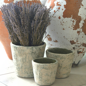 Grøn Concrete Plant Pot | Large, flowers