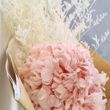 Preserved Flower Bouquet | Light Pink Hydrangea × Cornflower, closeup