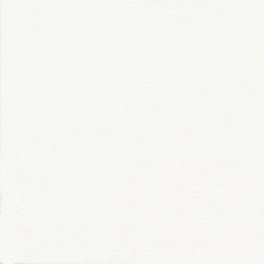 Disposable Dinner Napkin | White