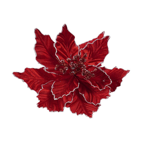 Red Poinsettia - Dusty Tips