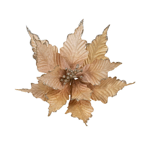 Cream Poinsettia Clip-on Flower - Gold Edge