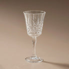 Clear Acrylic Wine Glass,image