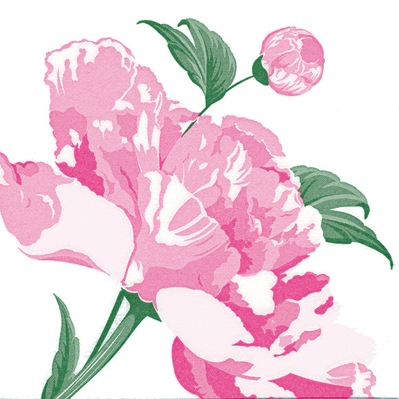 Disposable Dinner Napkin | Pivoine