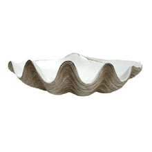 Decorative Clam - Natural