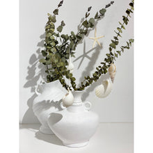 Beach Ornament | Clam Shell Tree Decoration