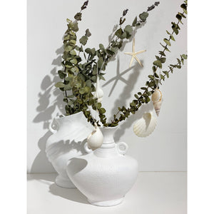 Beach Ornament | Clam Shell Tree Decoration