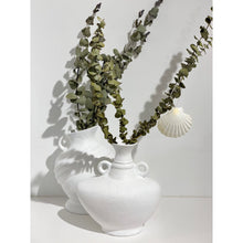 Beach Ornament | Clam Shell Tree Decoration
